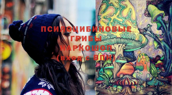 apvp Абинск