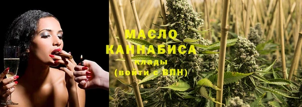 гидра Гусев